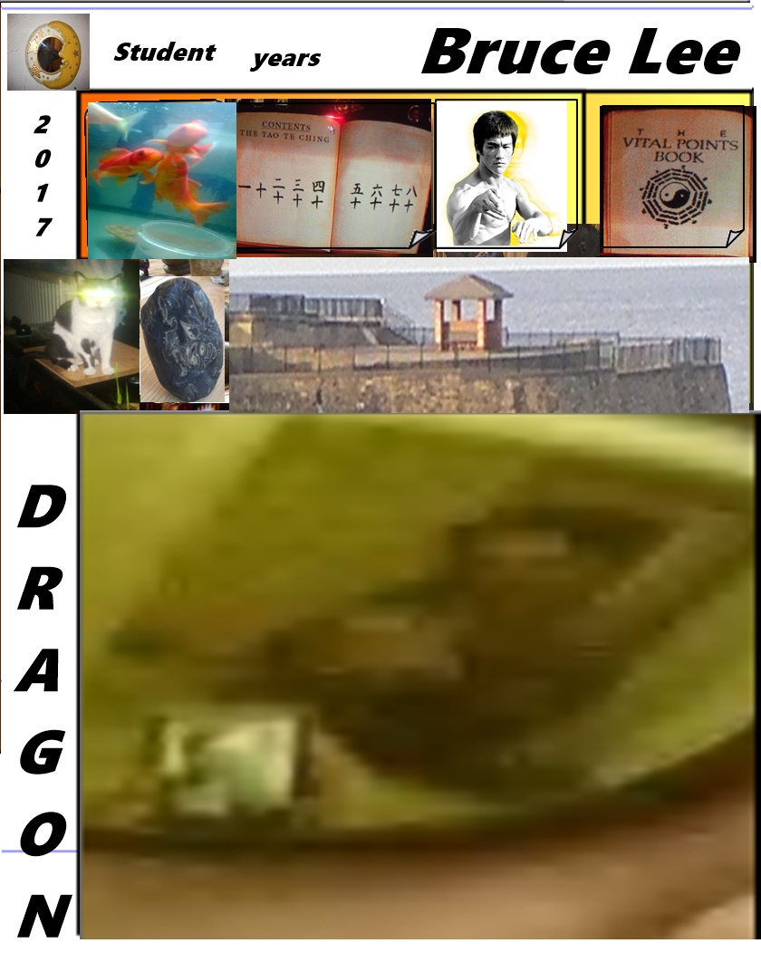 PE5.jpg